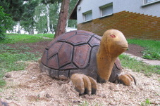 Dřevěná želva