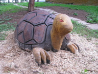 Dřevěná želva